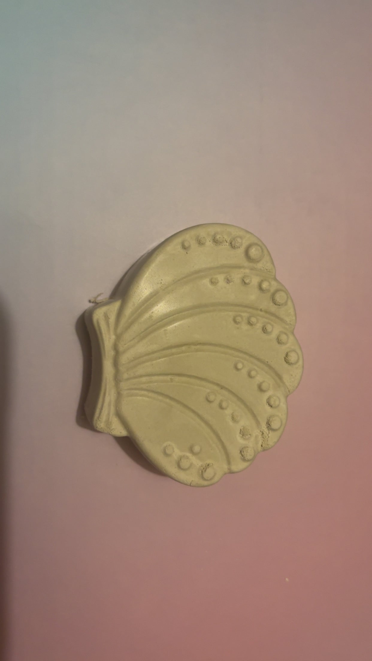 Seashell