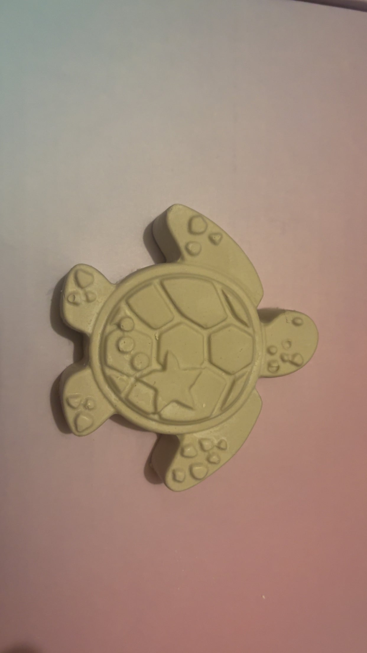 Turtle